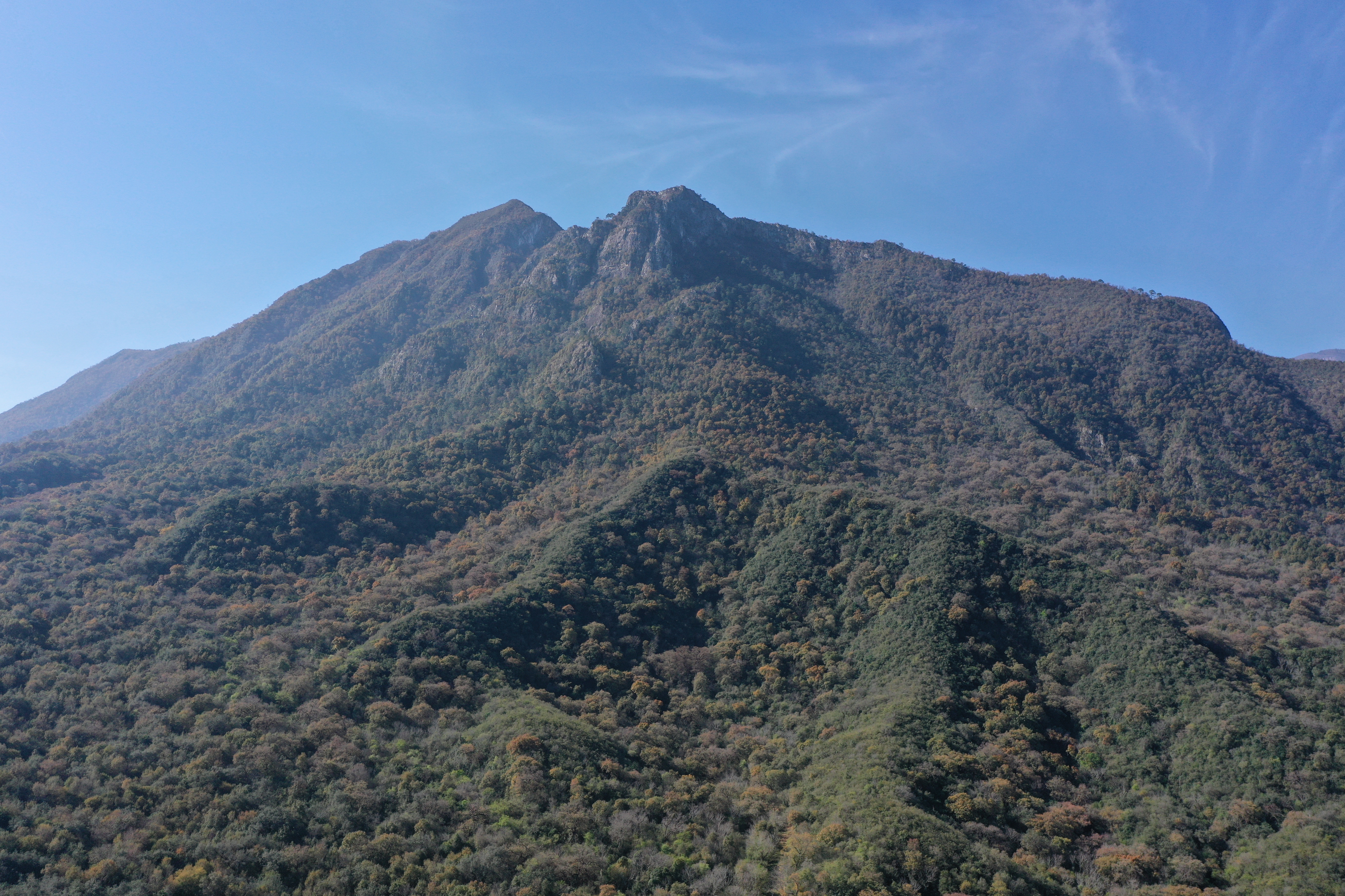 The Preserve